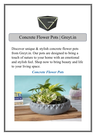 Concrete Flower Pots | Greyt.in