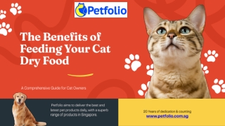 The Benefits of Feeding Your Cat Dry Food