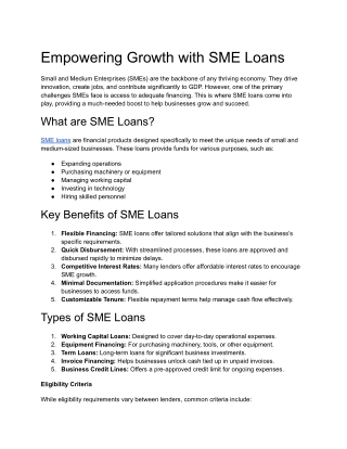 Empowering Growth with SME Loans