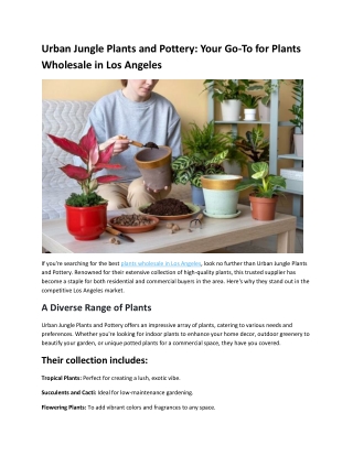 Urban Jungle Plants and Pottery: Your Go-To for Plants Wholesale in Los Angeles