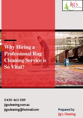 Why Hiring a Professional Rug Cleaning Service is So Vital?