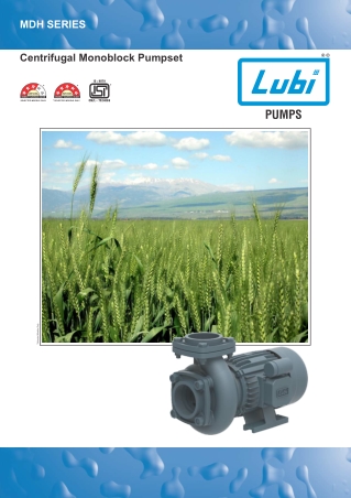 Lubi Centrifugal Monoblock Pumps (MDH SERIES)