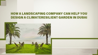 How a Landscaping Company Can Help You Design a Climate-Resilient Garden in Dubai