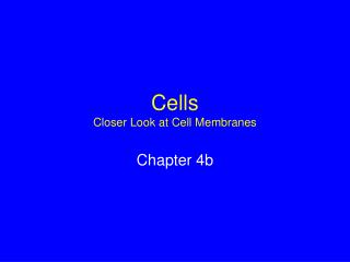 Cells Closer Look at Cell Membranes