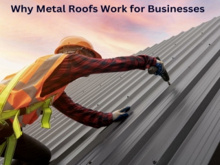 Why Metal Roofs Work for Businesses