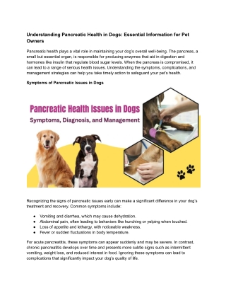 Understanding Pancreatic Health in Dogs_ Essential Information for Pet Owners