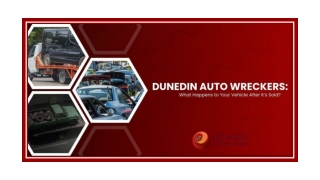 Dunedin Auto Wreckers: What Happens to Your Vehicle After It’s Sold?