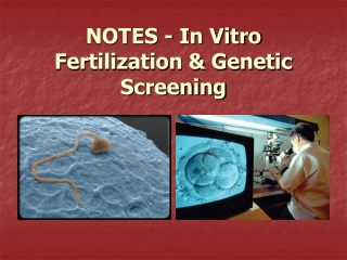 NOTES - In Vitro Fertilization & Genetic Screening