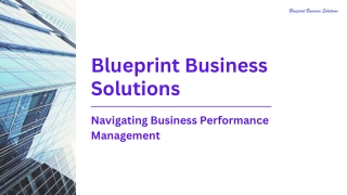 Blueprint_Business_Solutions - Project Management Solutions