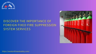 Discover the Importance of Foreign Fixed Fire Suppression System Services