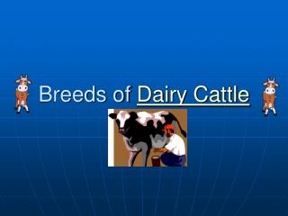 Breeds of Dairy Cattle