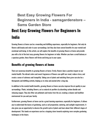 Best Easy Growing Flowers For Beginners In India - samsgardenstore – Sams Garden Store