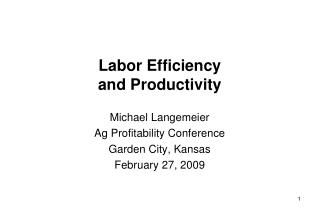 Labor Efficiency and Productivity