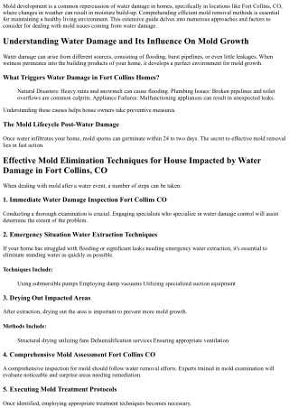 Efficient Mold Removal Techniques for Residence Impacted by Water Damage in Fort