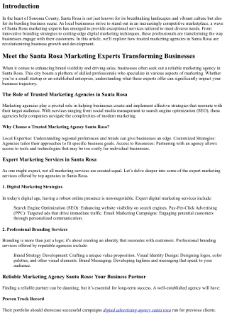 Meet the Santa Rosa Marketing Experts Transforming Businesses