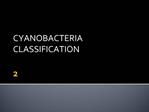 CYANOBACTERIA CLASSIFICATION