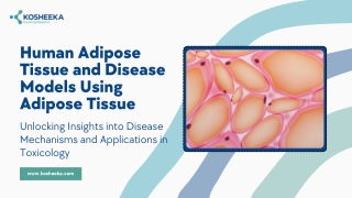 Human Adipose Tissue and Disease Models Using Adipose Tissue