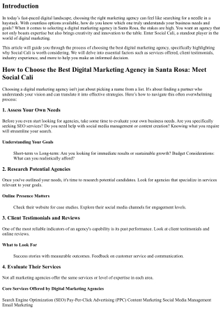 How to Choose the Best Digital Marketing Agency in Santa Rosa: Meet Social Cali