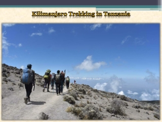 Kilimanjaro Trekking in Tanzania