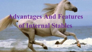 Advantages and features of Horse Internal Stables
