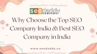 Why Choose the Top SEO Company India & Best SEO Company in India