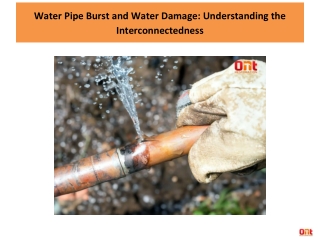 Water Pipe Burst and Water Damage Understanding the Interconnectedness