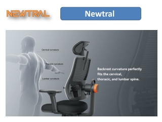 Find the Ideal Ergonomic Office Chair for Relief from Back Pain