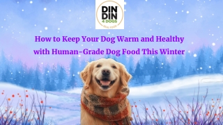 How to Keep Your Dog Warm and Healthy with Human-Grade Dog Food This Winter