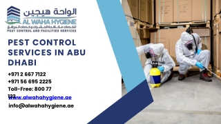 Pest Control in Abu Dhabi