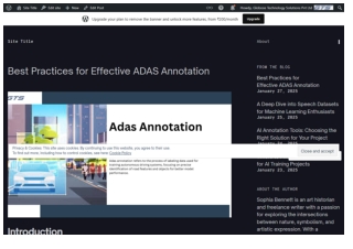 Best Practices for Effective ADAS Annotation
