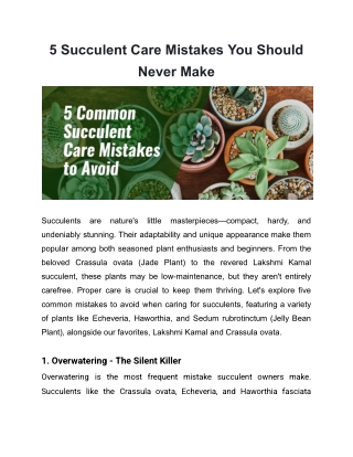5 Succulent Care Mistakes You Should Never Make