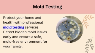 Mold Testing