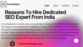 Hire Dedicated SEO Expert | Top SEO Services by Brandlogies