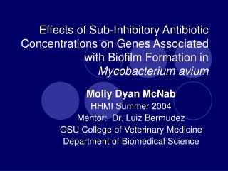 Effects of Sub-Inhibitory Antibiotic Concentrations on Genes Associated with Biofilm Formation in Mycobacterium avium