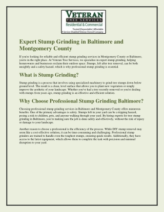 Professional Stump Grinding Service  in Baltimore & Montgomery