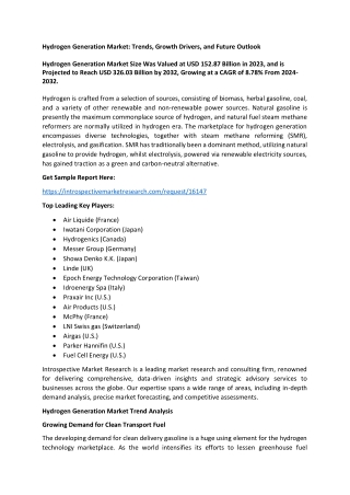 Hydrogen Generation Market - Overview and Outlook by Potential Growth 2023-2030