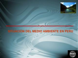 SITUACIÓN DEL MEDIO AMBIENTE EN PERÚ