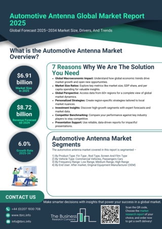 Automotive Antenna Market Report 2025 - Automotive Antenna Market Analysis, Size