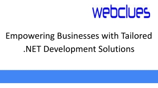 Empowering Businesses with Tailored .NET Development Solutions