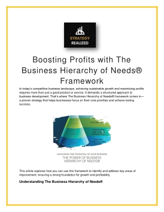 Elevate Your Business with The Business Hierarchy of Needs®