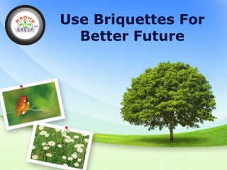 Use Briquettes For Better Future