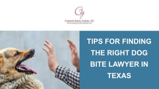 Tips for Finding the Right Dog Bite Lawyer in Texas