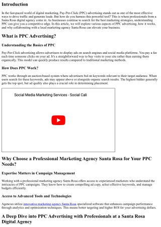 “A Deep Dive into PPC Advertising with Professionals at a Santa Rosa Digital Age