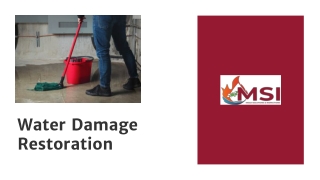 Water Damage Restoration Company