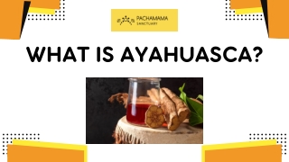 What is Ayahuasca?