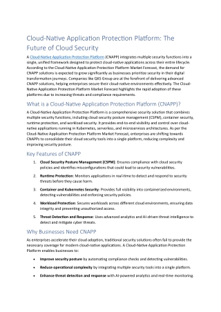 cloud-native-application-protection- Platform-The Future of Cloud Security