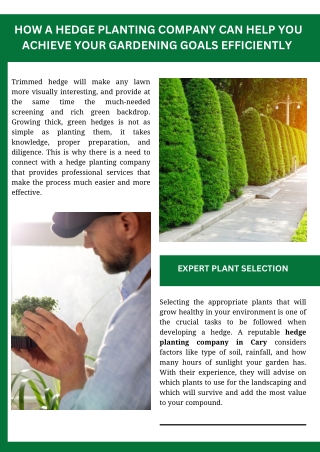 How a Hedge Planting Company Can Help You Achieve Your Gardening Goals Efficient