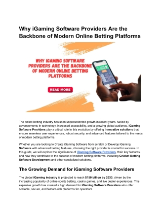 Why iGaming Software Providers Are the Backbone of Modern Online Betting Platforms