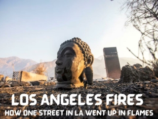 Los Angeles fires How one street in LA went up in flames