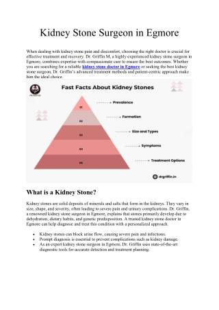 Kidney Stone Surgeon in Egmore